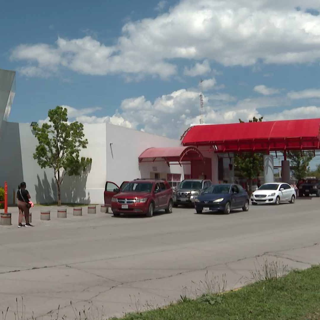 Mujer es Atendida de Emergencia por Presunta Picadura de Araña Viuda Negra en Saltillo
